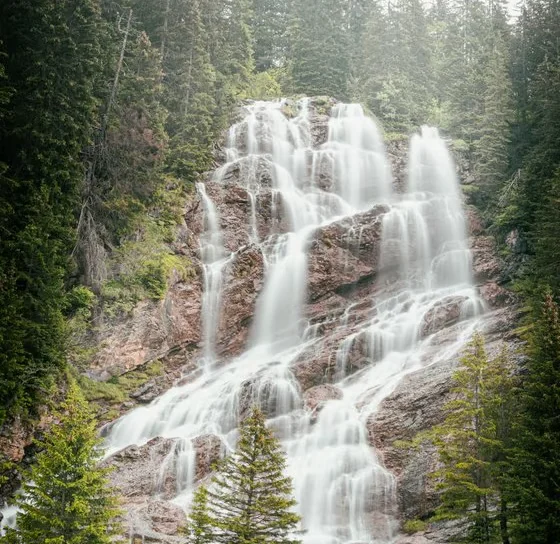 A cascading waterfall in the forest